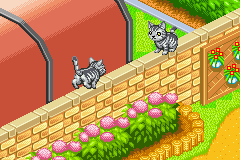 screenshots/Game Boy Advance/Catz/Kawaii Koneko (Eng) 009.png
